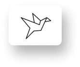 Création graphique