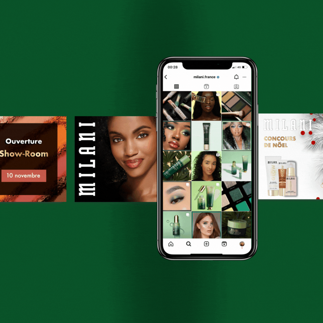 Réseaux sociaux Milani